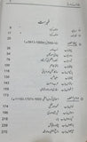 Pathano Ki Tareekh - پٹھانوں کی تاریخ