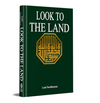 Look To The Land