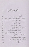Ghalib Par Sawanahi Adab - غالب پر سوانحی ادب