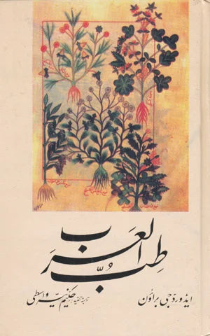 Tib Ul Arab - طب العرب