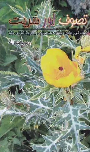 Tassawuf Aur Seerat - تصوف اور سریت