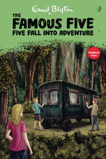 Five Fall Into Adventure: The Famous Five (Book 9)