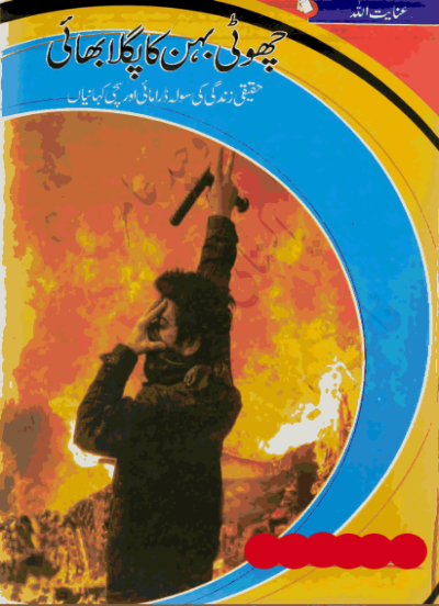 Choti Behan Ka Paghla Bhai